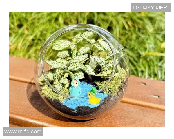 创意盆栽装饰：如何通过盆栽打造绿色生活空间与家居艺术气息