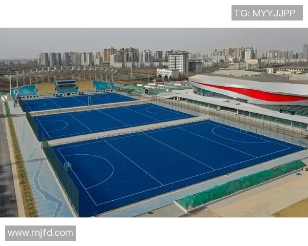 西安羽毛球队的阵地战体系与战术解析探讨